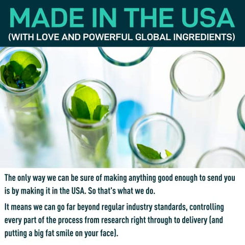 WILD FUEL - Enzimas Digestivas com Probióticos e Prebióticos – Saúde Intestinal, Digestão, Suplemento para SII com Alcachofra, Gengibre e Cúrcuma – Vegan Enzimas Probióticas para Saúde Digestiva e Redução de Inchaço