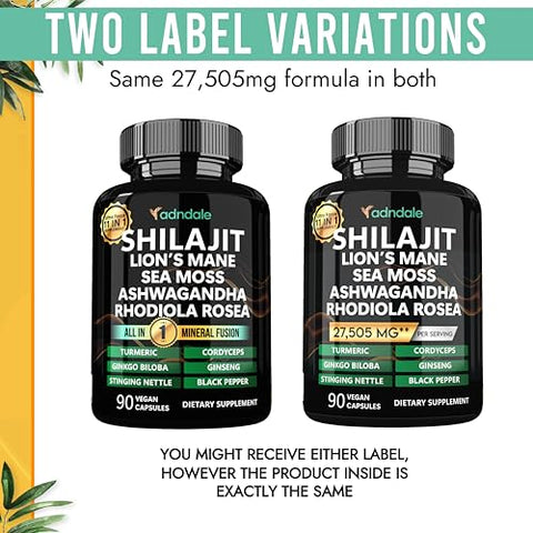 Adndale - Shilajit Puro do Himalaia Orgânico. 11 em 1 para Homens. Cápsulas de Shilajit com Sea Moss, Ashwagandha, Rhodiola Rosea, Panax Ginseng, Cúrcuma e Lion’s Mane