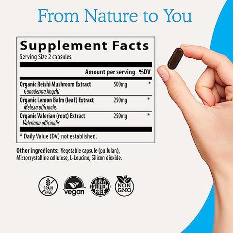 RealRest – Cápsulas de Reishi para Relaxamento (60 unid) – Reishi Orgânico com Melissa – Complexo de Cogumelos para Descanso - Real Mushrooms
