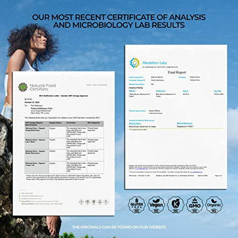 Wellnest.Store - Cápsulas de Suplemento de Cogumelo Reishi Orgânico | Extrato de Ganoderma, Suporte Imunológico | Aumenta Energia, Combate a Fadiga