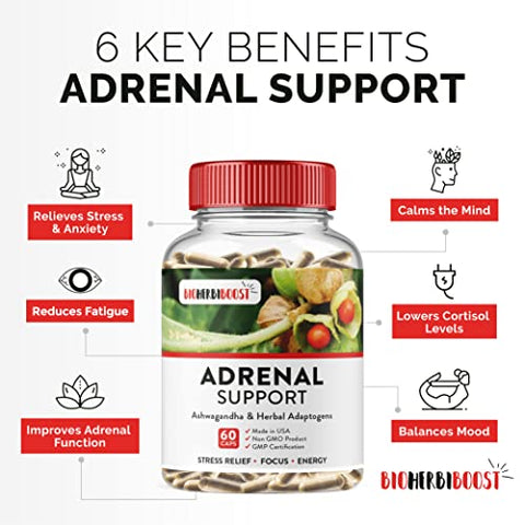 HERBI BOOST NATURALS - Suplemento Adrenal Support [1300mg Não-OGM] Foco Natural Clareza Energia