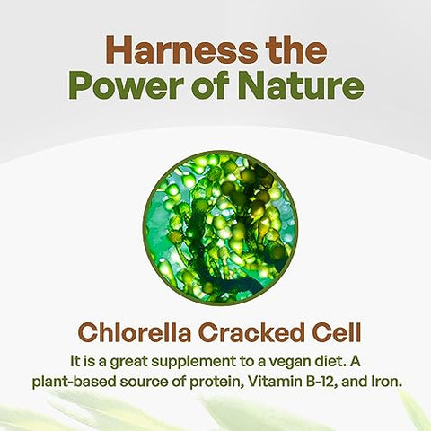 Pó de Chlorella, Pó de Verdes Puros com Vitaminas, Minerais e Antioxidantes, Pó de Super Alimento Natural de Verdes, Pó Verde de Células de Chlorella Quebradas, Não-OGM, 100g - Go Nutra