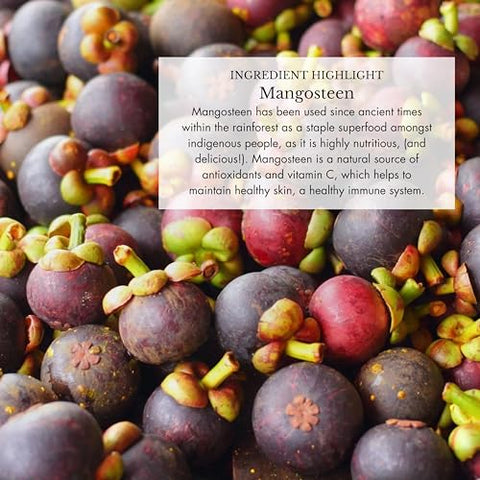 Anima Mundi Apothecary - Anima Mundi Adaptogenic 7 Mushroom Drops – Blend Adaptogênico com Extratos de Cogumelos Orgânicos – Tintura Líquida de Suporte Imunológico com Reishi, Lion’s Mane, Cordyceps – 30ml