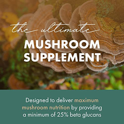 Extrato de Cogumelo Turkey Tail Orgânico 4X, Suplemento Vegano de Cogumelos para Fortalecimento Imunológico, 30 Cápsulas - PURE ESSENCE LABS