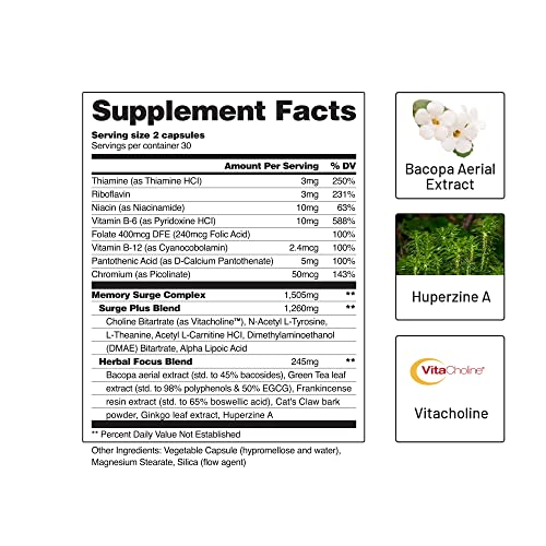 Brain Booster – Suplemento Nootrópico para Memória e Foco | 60 Cápsulas | Aumente sua Concentração e Desempenho Cognitivo - Snap Supplements