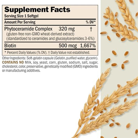 ANDREW LESSMAN - Andrew Lessman Phytoceramides com Biotina 60 Softgels – Hidratante Interno Natural Vital para a Pele. Melhora Naturalmente a Maciez, Suavidade e Radiância da Pele. Sem Aditivos. Fácil de Usar