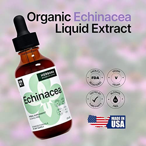 HERBANA MANUFACTURING - Echinacea Extrato Líquido 60ml – Raiz, Folha, Flor, Semente Orgânicos – Suplemento Herbal Natural – Suporte ao Corpo e Sistema Imunológico – Tintura de Alta Potência – 45 Dias de Fornecimento