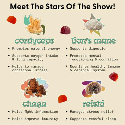 Gummies Diários (Pacote Trio) – Paixão Diária, Energia – 60 gummies - SuperMush