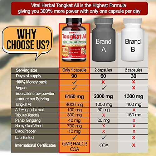 VITAL HERBAL - Ultra Cápsulas de Extrato de Tongkat Ali Equivalente a 5150mg – Máxima Potência com Ashwagandha Tribulus Terrestris Ginseng Horny Goat Weed para Homens Mulheres – Aumente a Energia Construa