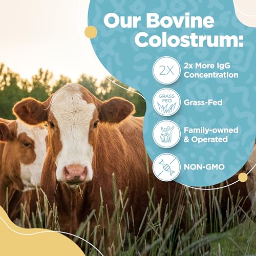InstaSkincare - Pó de Colostro Bovino – Puro Colostro Bovino para Humanos – Suplemento de Colostro Alimentado com Grama para Suporte Intestinal, Saúde Imunológica e Crescimento Capilar – Fabricado nos EUA 90g