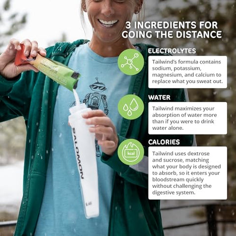 Endurance Fuel: Pó para Bebida Esportiva Pronto para Levar, com Eletrólitos, Livre de Transgênicos, Sem Soja, Laticínios e Glúten, Adequado para Veganos, Sabor Melancia Dauwalter, Pacote com 12 Unidades - Tailwind Nutrition