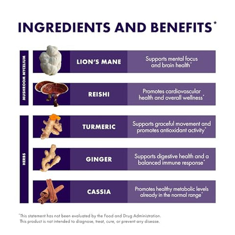 MycoBotanicals Brain – Potencialize sua mente com a sinergia de cogumelos e ervas - Host Defense