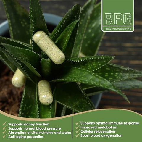 RPG Super Coffee - RPG Acemannan Aloe Vera – Cápsulas de Aloe Vera em Pó para Suporte Imunológico e Intestinal – 60 Cápsulas (250 mg)