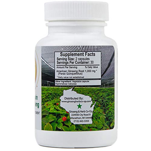 GINSENG & HERB CO-OP A WISCONSIN GROWER COOPERATIVE - USA - Cápsulas de Ginseng Americano Puro de Wisconsin – 500mg. Autêntico Panax Quinquefolius. Raiz de Ginseng Moída Potente – Sem Preenchedores, Ligantes ou Outros Aditivos