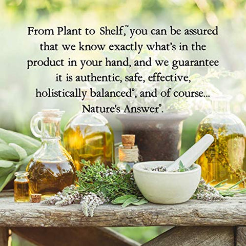Nature's Answer - Natures Answer’s Extrato de Frutas de Mirtilo para os Olhos 60ml | Suporte para Olhos e Visão | Rico em Antioxidantes | Promove Circulação Sanguínea | Alivia Vermelhidão e