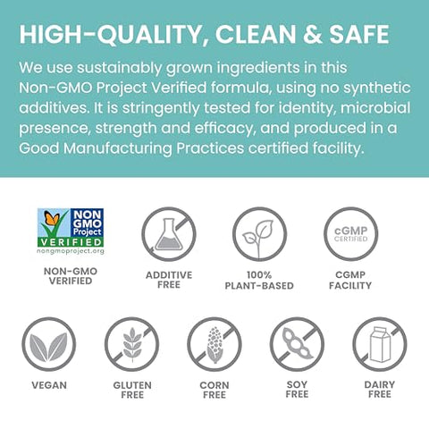 Cápsulas de Suporte ao Fígado com Cardo de Leite, 60 Unidades, 350 mg de Cardo de Leite com Alcachofra, Chicória e Andrographis - Himalaya