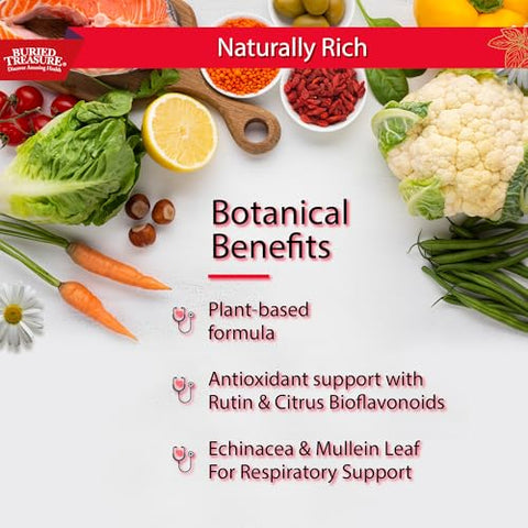 ACF Extra Strength – Suporte Imunológico 16 oz, 16 Porções, Reforço Imunológico Líquido com Sabugueiro e Vitamina C - Buried Treasure