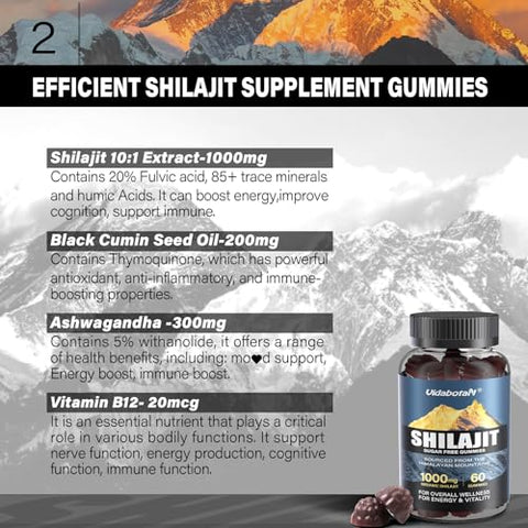 vidabotan - Gomas de Shilajit Sem Açúcar 1000mg – Suplemento Puro de Shilajit para Homens