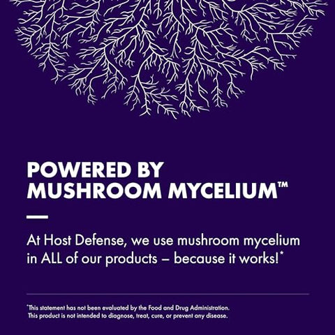 MycoBotanicals Brain – Potencialize sua mente com a sinergia de cogumelos e ervas - Host Defense