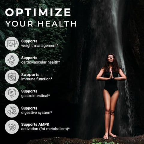 Premium Berberine HCL 1200mg com BioPerine® – Pureza Testada de 97% – Suplemento de Berberina de Alta Potência – Berberina Plus – Fabricado nos EUA (60 Cápsulas) - ACEWORKZ