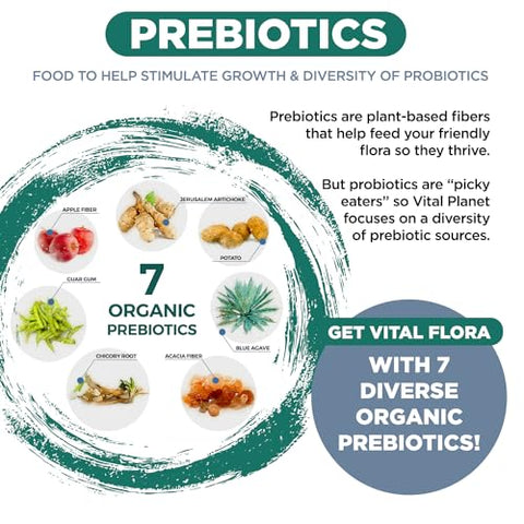 Probiótico Diário para Homens, 60 Bilhões de UFC, 60 Cepas Diversas, 7 Prebióticos Orgânicos, Suporte Imunológico, Alívio de Gases, Saúde Digestiva – Vital Flora - Vital Planet