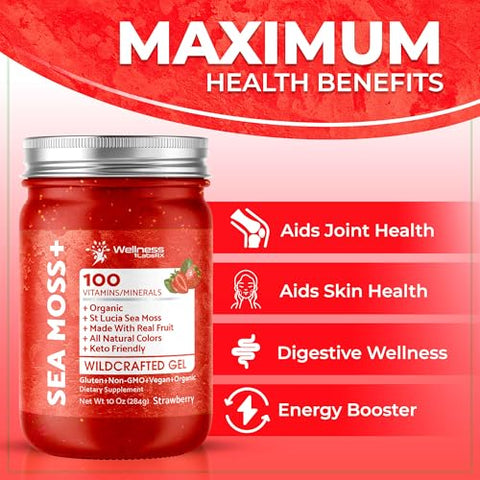 WELLNESS LABSRX - Gel de Musgo do Mar Irlandês Orgânico Cru – Gel de Superfood de Musgo Selvagem – Sabor Morango, Rico em Vitaminas e Minerais das Águas Pristinas do Caribe, Saúde Imunológica e Digestiva – Marca: Irish Sea Moss Gel