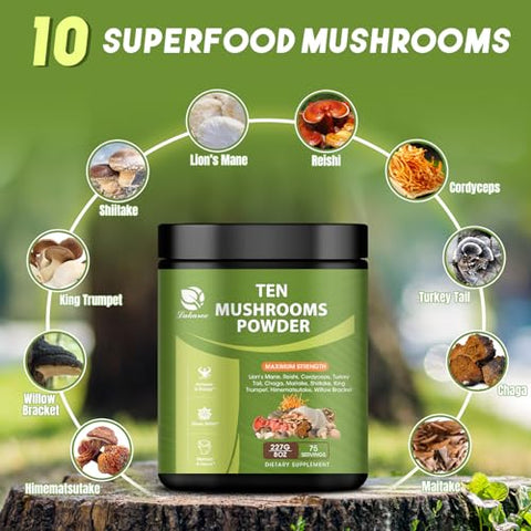 Lukaree - 14 em 1 Pó de Cogumelo para Preparo de Café, 227g Suplemento de Cogumelo com Cabeça de Leão, Chaga, Reishi, Cauda de Peru, Extrato de Cogumelo Cordyceps em Pó, etc, Mistura de Cogumelos para