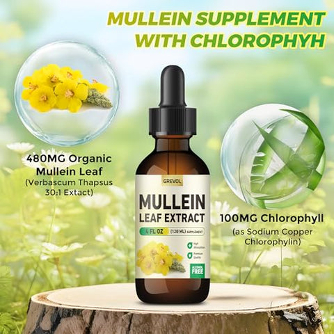 Grevol - Gotas Orgânicas de Verbascum para os Pulmões, Extrato de Folha de Verbascum para os Pulmões com Suplemento Herbal de Clorofila, Tintura de Verbascum para o Sistema Respiratório