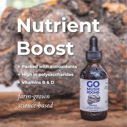 GO Mushrooms - Chaga Tincture – Suplemento de Corpo Frutífero de Cogumelo Extraído em Dual para Apoiar o Sistema Imunológico – Rico em Nutrientes de Chaga