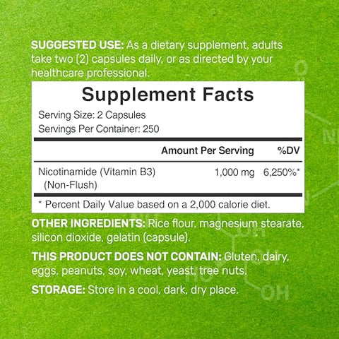 DEAL SUPPLEMENT - Vitamina B3 Nicotinamida 1.000mg Por Porção – 500 Cápsulas, Niacina Livre de Rubor, B3 Essencial – Suporta uma Pele Saudável