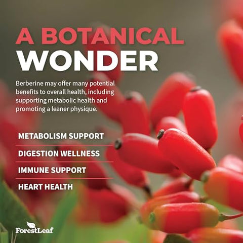 ForestLeaf - Berberine 1300mg por Porção – Ultra Potência Testada 97%% Berberine HCl com Canela do Ceilão e Melão Amargo – 60 Cápsulas