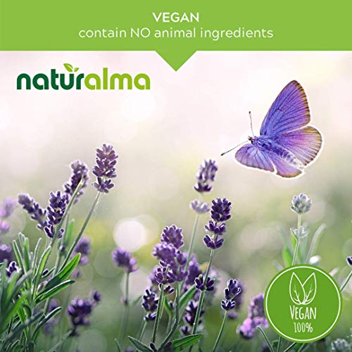 Brahmi (Bacopa monnieri) – Tintura sem álcool de 120 ml – Extrato líquido em gotas – Herbal Vegan – Naturalma - Naturalma