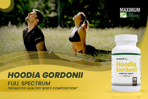 Hoodia – Extrato Herbal Natural em Pó – Fonte de Folha de Hoodia Gordonii – Supressor Natural de Apetite Vegano – Estimulante – 60 Cápsulas Vegetais - Maximum Slim