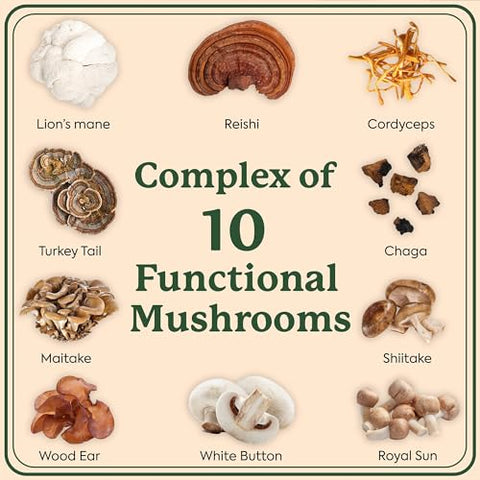 Plant People - Suplemento de Cogumelos Plant People WonderDay – Lion’s Mane, Cordyceps, Chaga para Fortalecer o Sistema Imunológico, Reduzir o Estresse e Melhorar o Humor