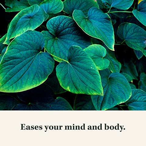 Kava Root – Alivia o Estresse e Promove o Relaxamento Natural – 60 Cápsulas Líquidas Veganas de Kava Nobre (20 Dias) - Gaia Herbs