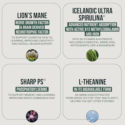 Focus: Energia Mental e Foco Intenso | 60 cápsulas | 100% Natural - Orlo