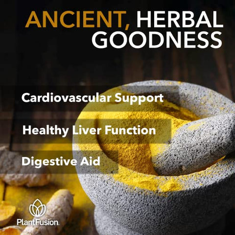 SOTRU - PlantFusion Mix de Bebida de Cúrcuma e Gengibre – Nutrição Completa de Alimentos Fermentados, Pó de Suplemento Herbal com Curcuminoides – Certificado Orgânico pelo USDA, Não-OGM, Vegano, Sem Glúten – 100g