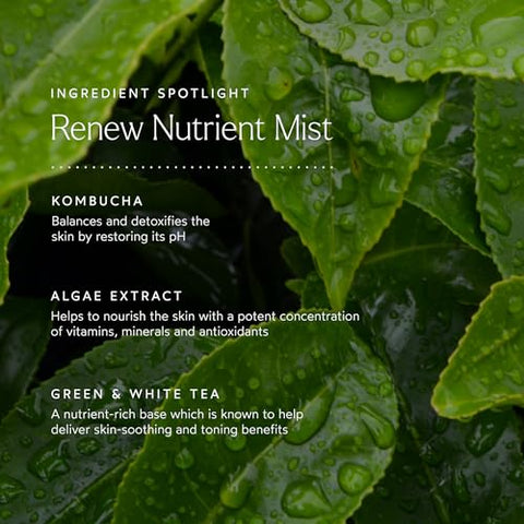 RENEW Nutrient Face Mist Natural | Não-Tóxico, Cruelty-Free | Hidrata, Nutre, Protege a Pele da Poluição | MADE Safe (50 mL) - True Botanicals