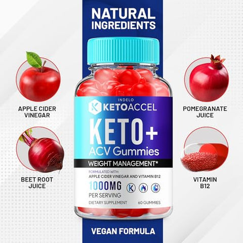 Indelo - Keto Accel ACV Gummies – Avaliações dos Gummies Keto Accel, Gerenciamento Avançado de Peso, Fórmula Keto Accell 1000mg (1 Pacote – 60 Gummies)