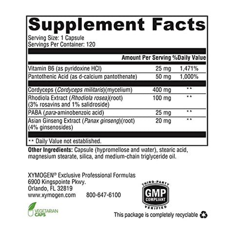 Adrenal Essence – Suporte Adrenal com Ervas Adaptogênicas (Cordyceps, Extrato de Rhodiola, Ginseng) Vitaminas B – Ajuda a Manter Níveis de Energia Saudáveis e um Sistema Imunológico Forte - XYMOGEN