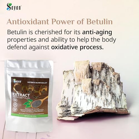 Extrato de Cogumelo Chaga Siberiano Sayan com Pó de Betulina (60 ml) – Mistura Antioxidante Orgânica – Suporte ao Sistema Imunológico