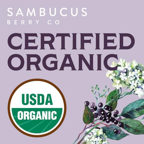 Organic Elderberries 454g – Benefícios para a saúde e bem-estar - Waterglider International
