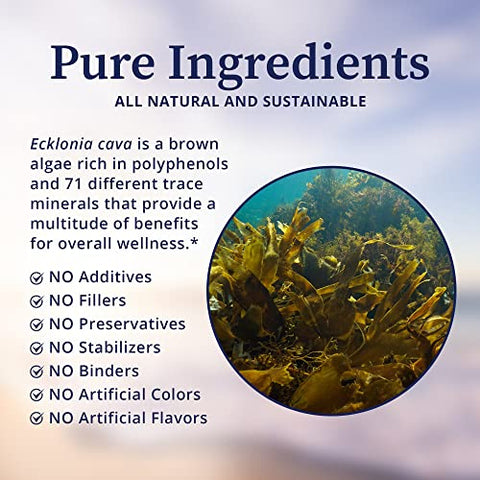 PC-Ecklonia Cava – Extrato Botânico de Algas Marrons Potente Rico em Polifenóis e 71 Minerais Traços que Suportam a Função Neurológica, Circulação e Bem-Estar Geral – 100% Natural e Puro - BioPure