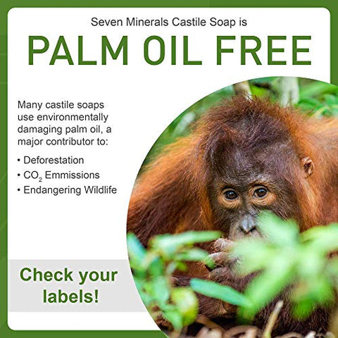 Sabonete Castela EWG Verificado 1000 ml – Sem Óleo de Palma, Livre de Transgênicos – Suave e Sem Fragrância - Seven Minerals
