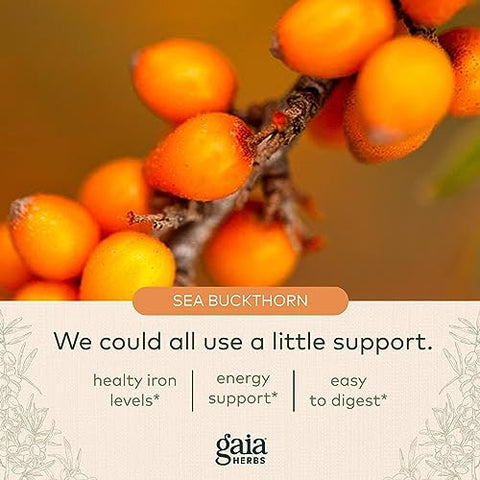 Suplemento de Ferro Vegetariano Gaia Herbs Plant Force – Líquido para Manter uma Saúde de Ferro