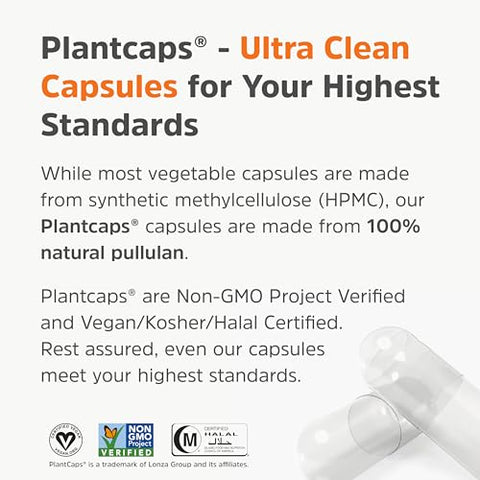 Physician's Healthy Alternatives - Clean Label Berberine | Ultra Puro 98%% Berberine HCl, Potência Máxima nos EUA | 90 Plantcaps® Patenteadas de Suplemento de Berberina | Cápsulas de Berberina 500mg | Berberina Diária 1500mg