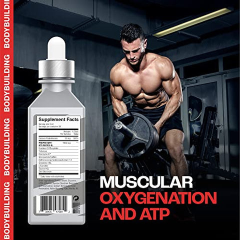 MMUSA - XXTRAA Serum de Creatina Estável para Musculação – Potencialize seus resultados!