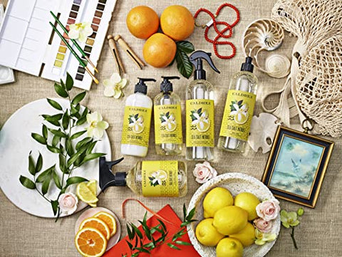 Recarga de Sabonete Líquido Caldrea, Gel de Aloe Vera, Óleo de Oliva e Óleos Essenciais para Limpar e Condicionar, Fragrância de Sal Marinho e Neroli, 946 ml