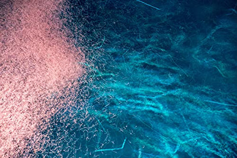 Óleo de Krill Antártico – 1000mg Por Porção – Sem Cheiro ou Sabor de Peixe – Rico em Ômega-3, EPA, DHA, Astaxantina – Embalado com Benefícios para a Saúde - ONNIT