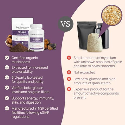 Chaga – Cápsulas Orgânicas de Cogumelo com Extrato de Chaga – Pó de Cogumelo Chaga para Digestão e Energia - Real Mushrooms